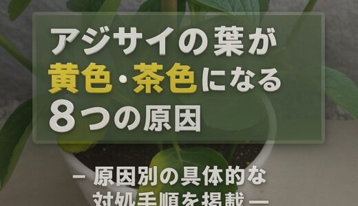 【アジサイの葉が黄色・茶色になる8つの原因と対処法】万華鏡で実践した改善プロセス