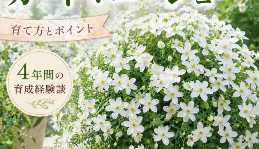 下のソーシャルリンクからフォロー