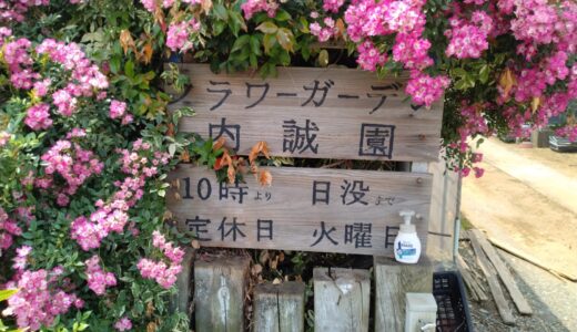 【５月末の園芸店】 内誠園へ行ってきました。