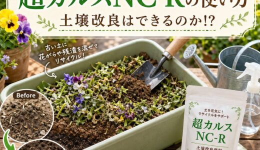 下のソーシャルリンクからフォロー