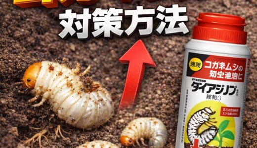 コガネムシ幼虫の対策完全ガイド｜効果的な駆除方法と予防策