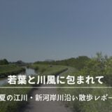 若葉と川風に包まれて ─ 初夏の江川・新河岸川沿い散歩レポート