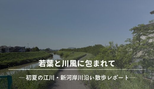 下のソーシャルリンクからフォロー