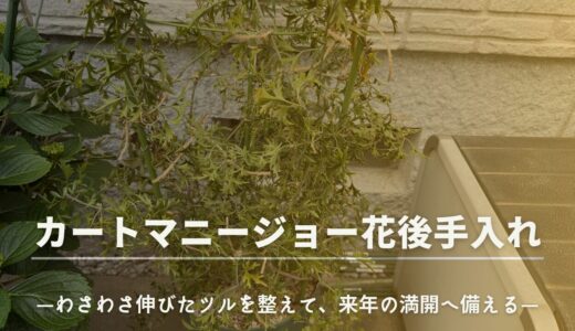 下のソーシャルリンクからフォロー