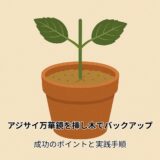 アジサイ 万華鏡 を挿し木でバックアップ｜成功のポイントと実践手順