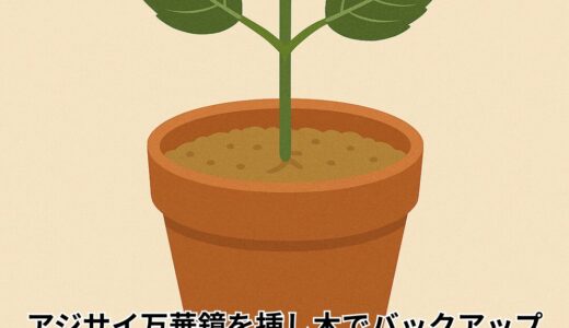アジサイ 万華鏡 を挿し木でバックアップ｜成功のポイントと実践手順