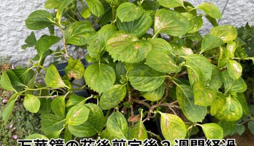 下のソーシャルリンクからフォロー
