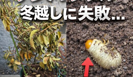 下のソーシャルリンクからフォロー