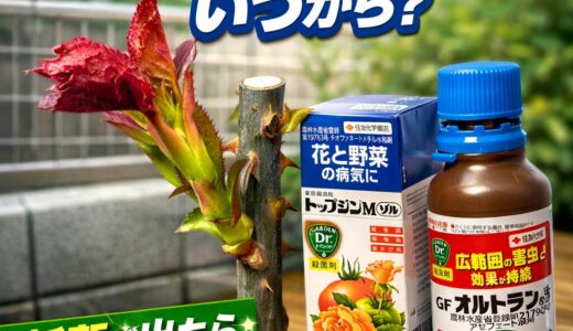 下のソーシャルリンクからフォロー
