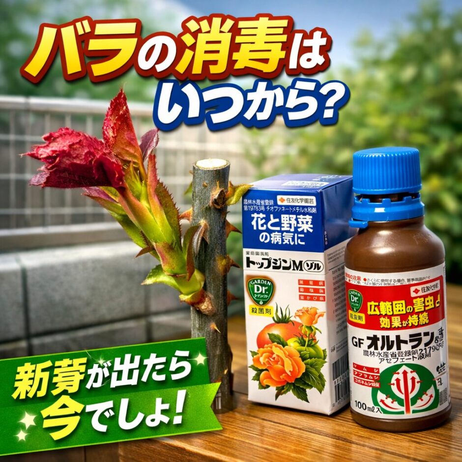 バラの消毒開始時期