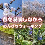 歩きながら見つけた、わが家のまわりの小さな春。