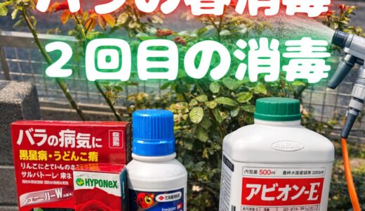 下のソーシャルリンクからフォロー