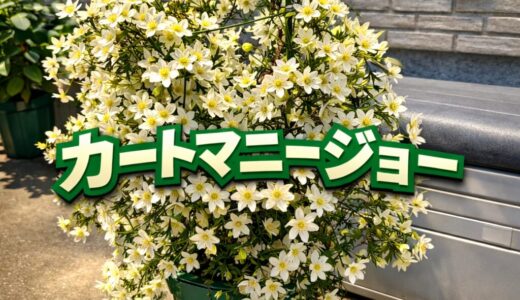 下のソーシャルリンクからフォロー