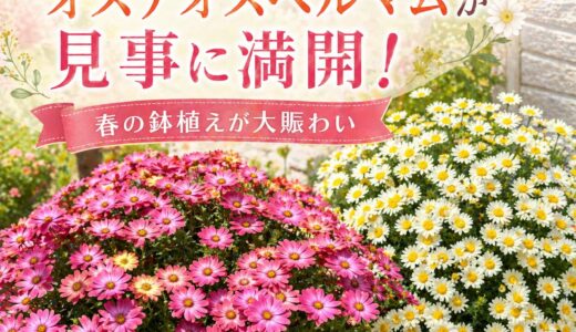 下のソーシャルリンクからフォロー