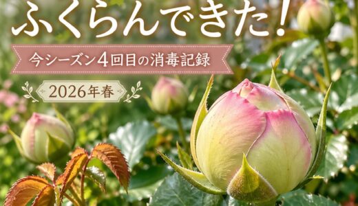 下のソーシャルリンクからフォロー