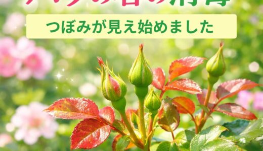 下のソーシャルリンクからフォロー