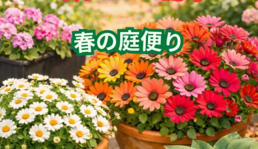 下のソーシャルリンクからフォロー