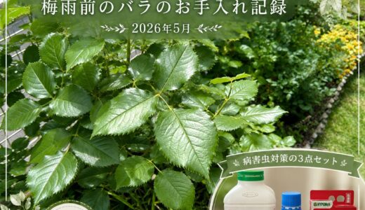 下のソーシャルリンクからフォロー