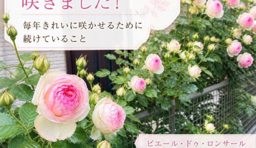 下のソーシャルリンクからフォロー