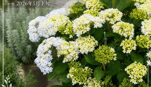 下のソーシャルリンクからフォロー