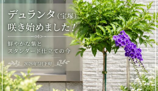 下のソーシャルリンクからフォロー