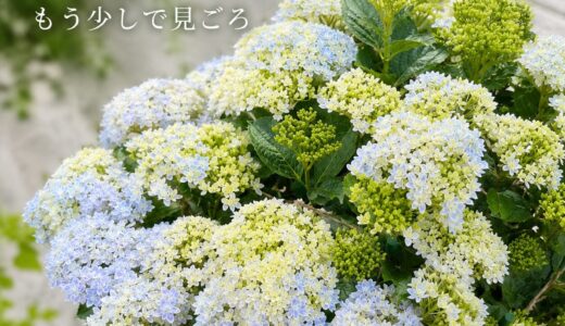 下のソーシャルリンクからフォロー