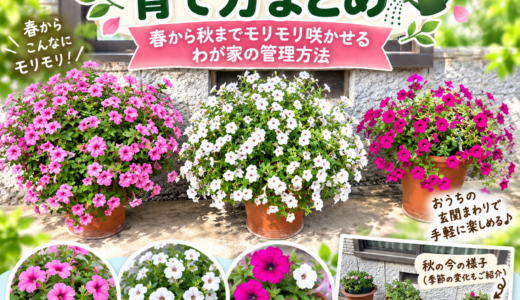下のソーシャルリンクからフォロー