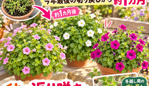 下のソーシャルリンクからフォロー